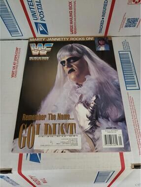 Vintage WWE Magazine JANUARY 1996 Goldust Cover ~ Cb50